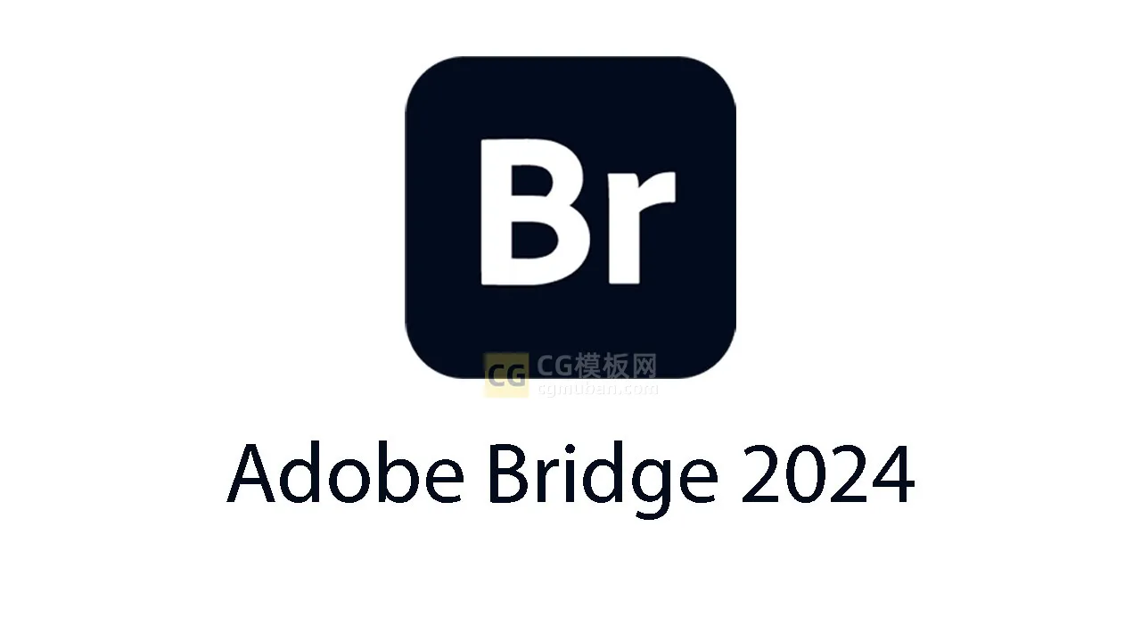 Adobe Bridge 2024 v14.0.3 adobe软件下载