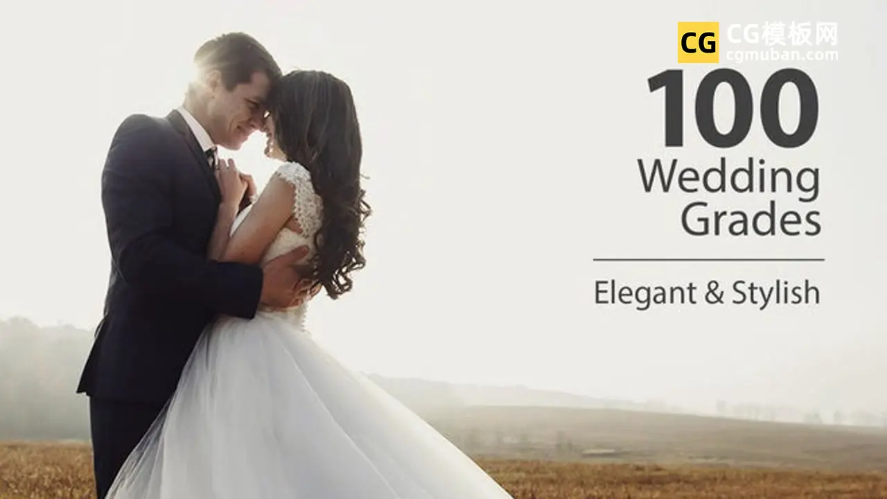 100个浪漫婚礼视频调色预设 Wedding Color Corrections LUTs