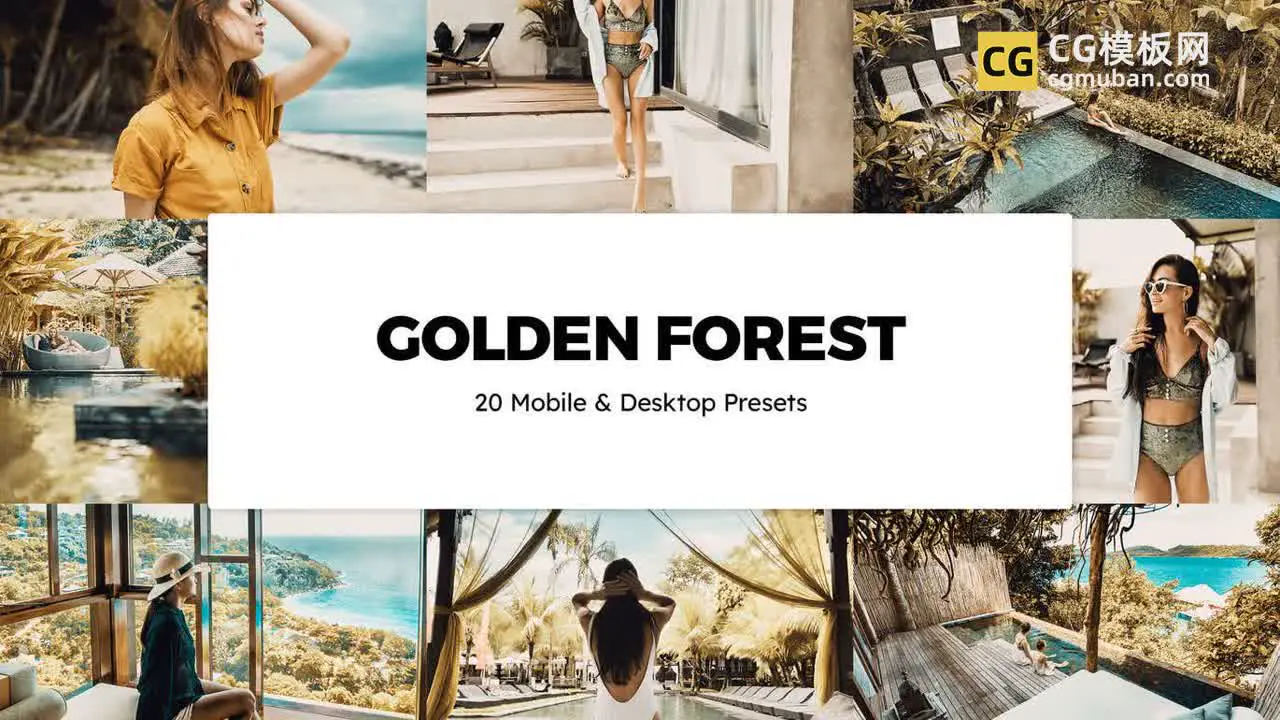 调色预设：20个金色森林 Lightroom 预设和 LUT 20 Golden Forest Sparklestock插图