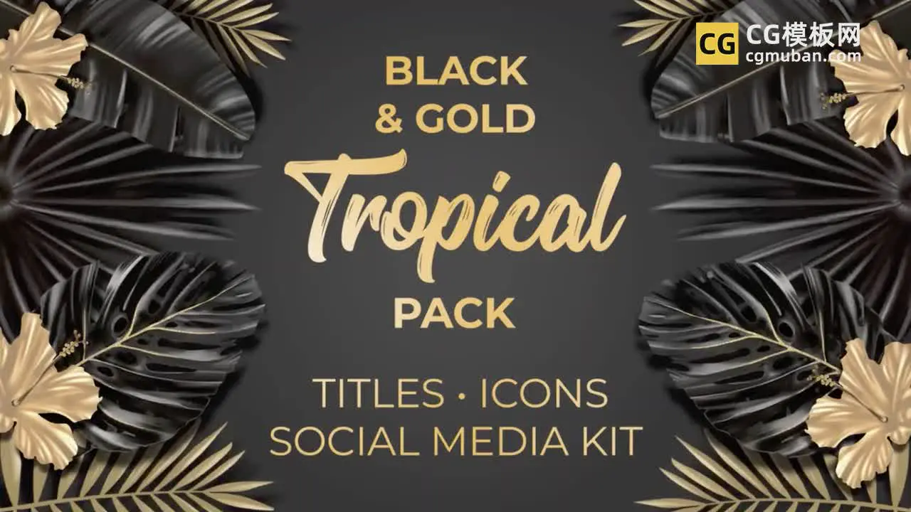 PR模板：黑金热带树叶婚礼派对时尚水疗度假期广告图标题竖屏海报 Black And Gold Tropical Pack插图