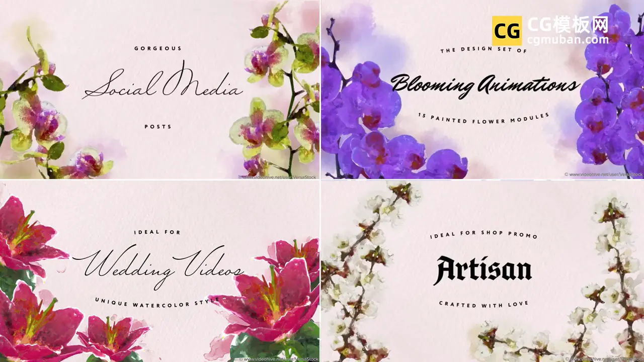 AE模板：优雅美丽浪漫爱情母亲节鲜花朵花店视频边框标题模板 Painted Floral Vignettes插图