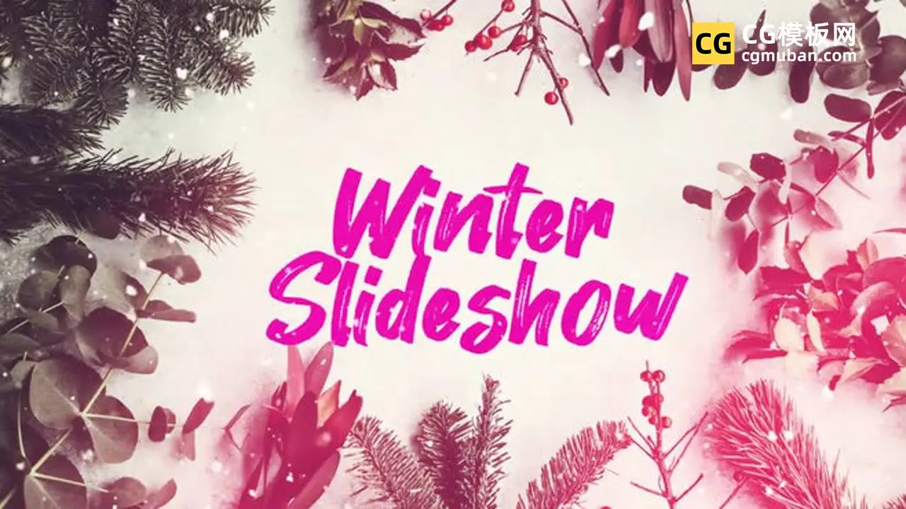 PR模板：9个冬季下雪照片模板 定格定帧撕纸万圣节家人朋友节日纪念幻灯片模板 Winter Holiday Slideshow插图