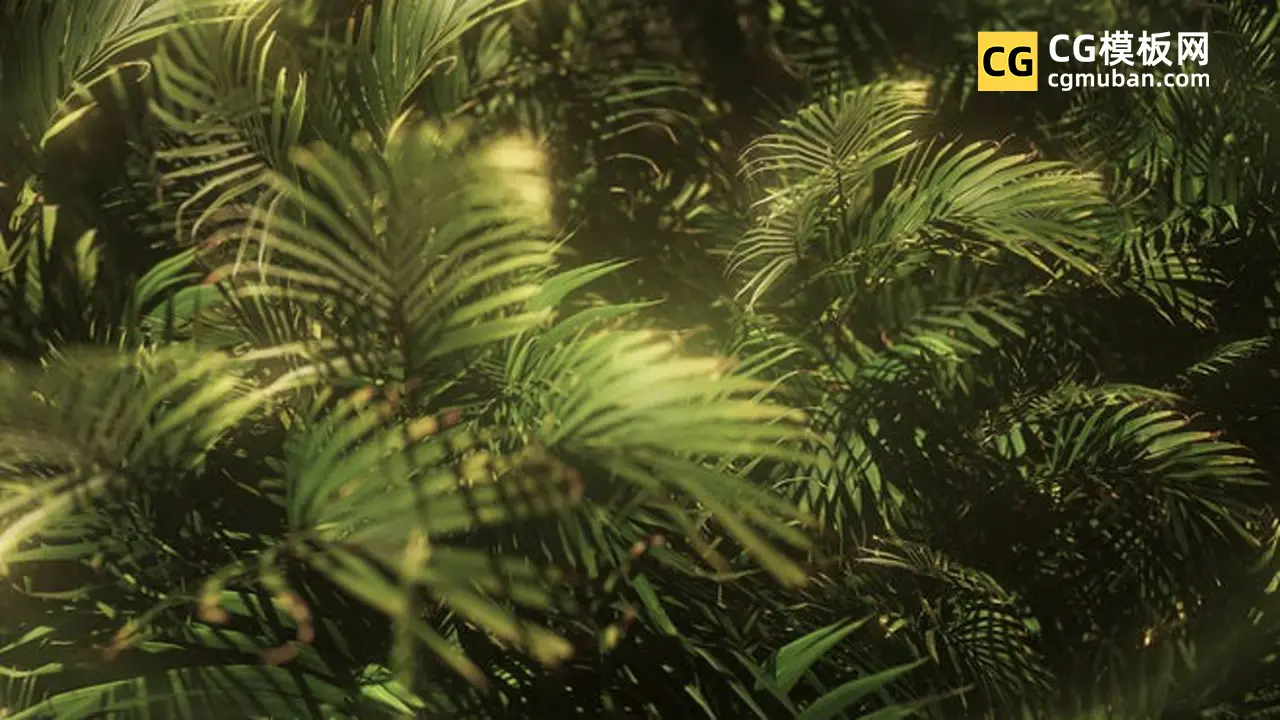 PR模板：夏季植物LOGO 热带针叶林绿叶草地草坪操场视频开场视频模板 Nature Reveal插图