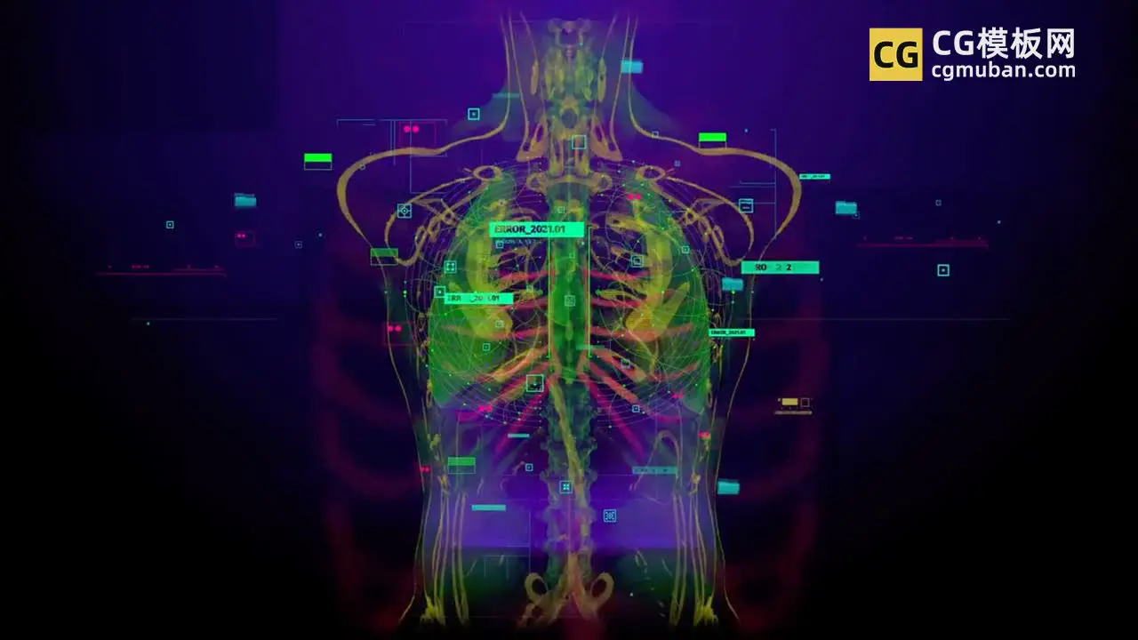 AE模板：数字化人体结构模板 4K穴位器官经络动画医学医疗全息Ae特效视频展示 Medicine Intro插图